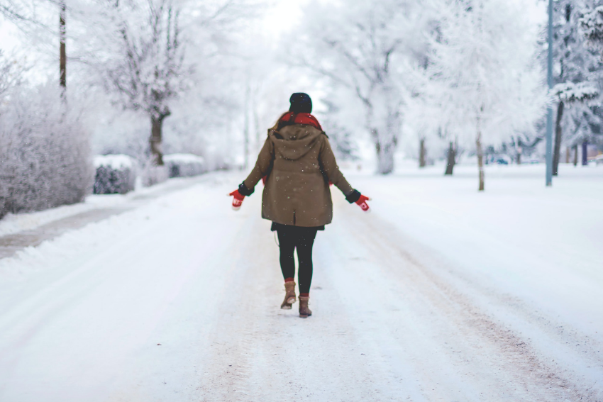 11 Exciting Events in the Ann Arbor Area to Attend January 2022